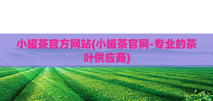 小罐茶官方网站(小罐茶官网-专业的茶叶供应商)
