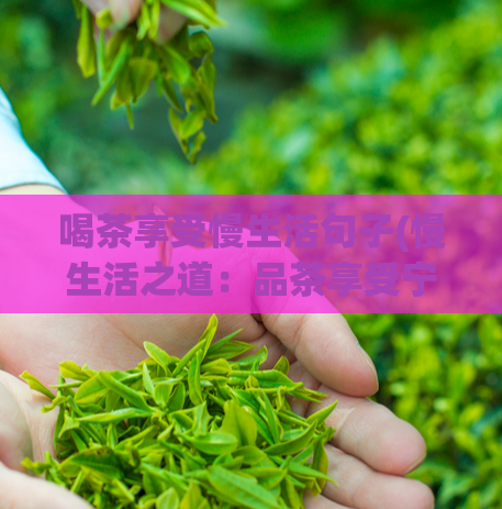 喝茶享受慢生活句子(慢生活之道：品茶享受宁静时光)