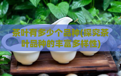 茶叶有多少个品种(探究茶叶品种的丰富多样性)
