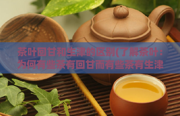 茶叶回甘和生津的区别(了解茶叶：为何有些茶有回甘而有些茶有生津？)