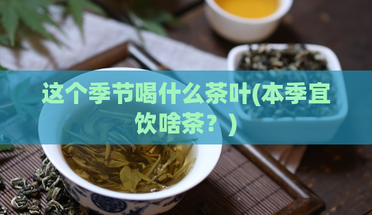 这个季节喝什么茶叶(本季宜饮啥茶？)