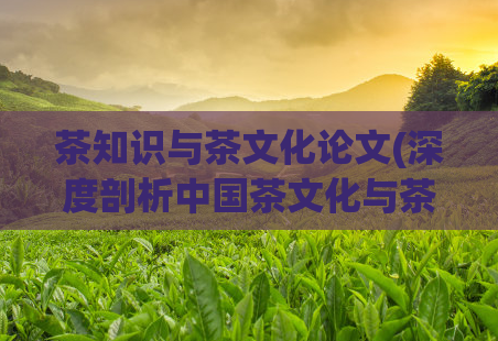 茶知识与茶文化论文(深度剖析中国茶文化与茶知识)