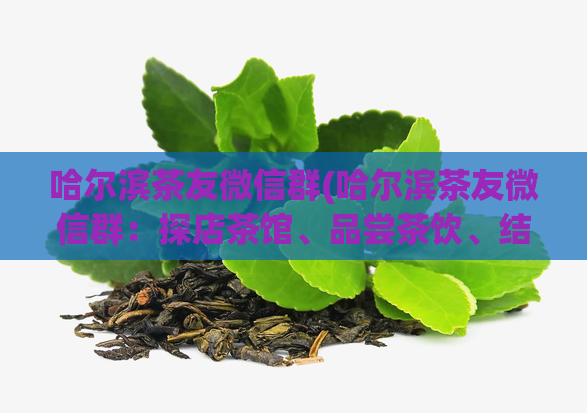 哈尔滨茶友微信群(哈尔滨茶友微信群：探店茶馆、品尝茶饮、结交茶友，尽在这里！)