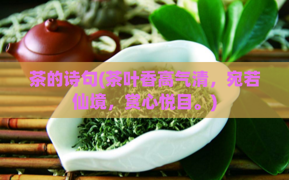 茶的诗句(茶叶香高气清，宛若仙境，赏心悦目。)