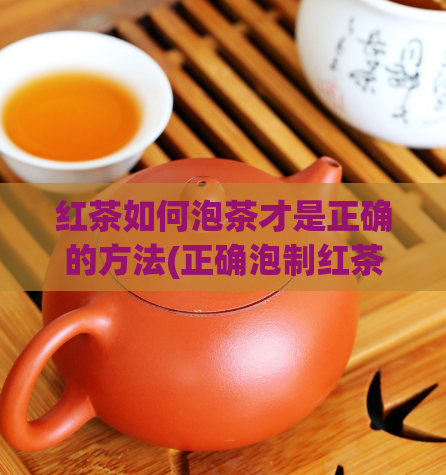 红茶如何泡茶才是正确的方法(正确泡制红茶的技巧)