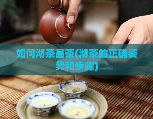 如何沏茶品茶(沏茶的正确姿势和步骤)