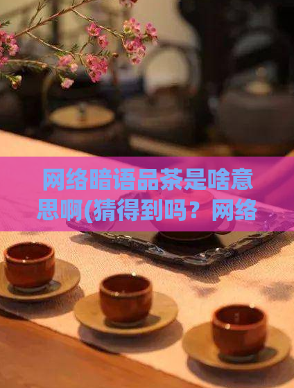 网络暗语品茶是啥意思啊(猜得到吗?网络暗语“品茶”含义揭秘!)