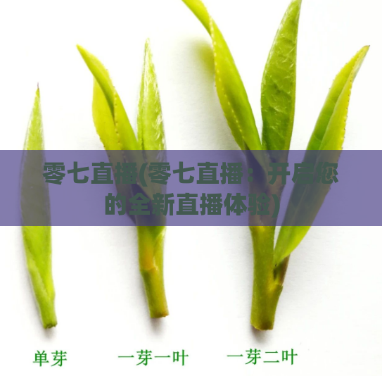 零七直播(零七直播:开启您的全新直播体验)