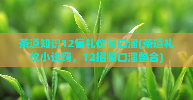 茶道知识12懂礼仪顺口溜(茶道礼仪小诀窍,12招顺口溜整合)