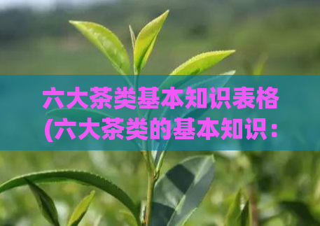 六大茶类基本知识表格(六大茶类的基本知识:种类、产地、特点、适宜泡法)