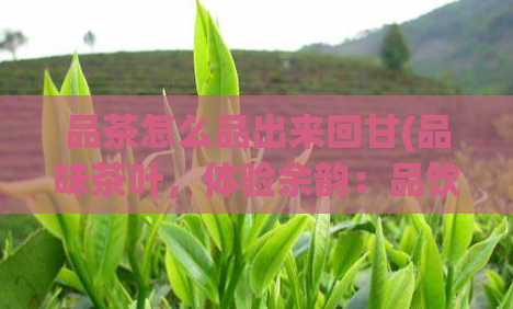 品茶怎么品出来回甘(品味茶叶,体验余韵:品饮茶水如何品出回甘?)