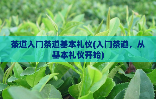 茶道入门茶道基本礼仪(入门茶道，从基本礼仪开始)