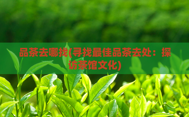 品茶去哪找(寻找最佳品茶去处：探访茶馆文化)