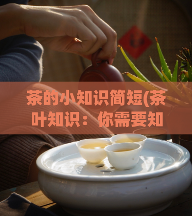 茶的小知识简短(茶叶知识:你需要知道的9件事)