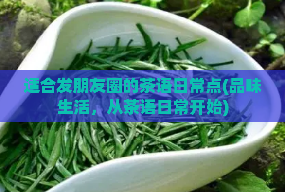 适合发朋友圈的茶语日常点(品味生活,从茶语日常开始)