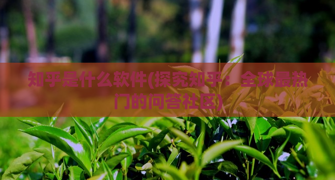 知乎是什么软件(探究知乎：全球最热门的问答社区)