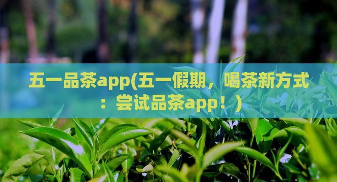 五一品茶app(五一假期，喝茶新方式：尝试品茶app！)