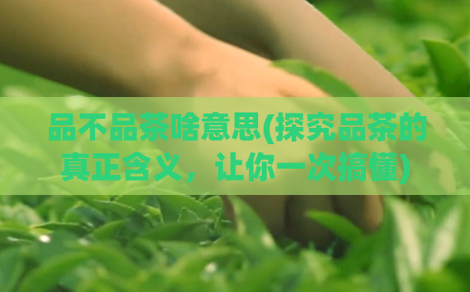品不品茶啥意思(探究品茶的真正含义，让你一次搞懂)