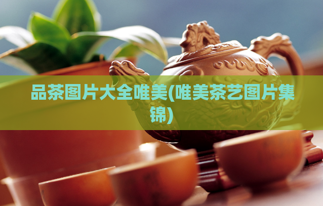 品茶图片大全唯美(唯美茶艺图片集锦)