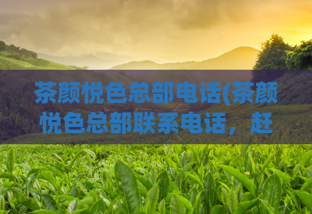茶颜悦色总部电话(茶颜悦色总部联系电话,赶快拨打获取更多店铺信息!)