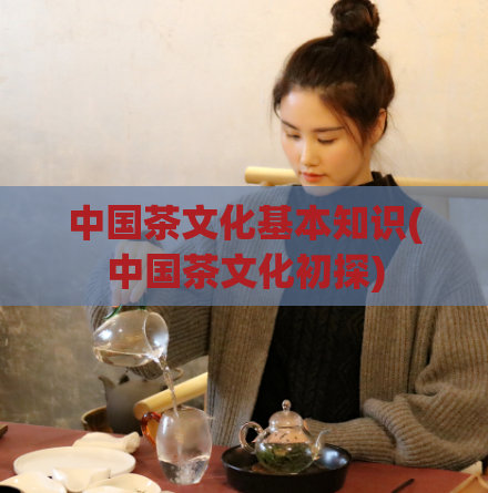 中国茶文化基本知识(中国茶文化初探)
