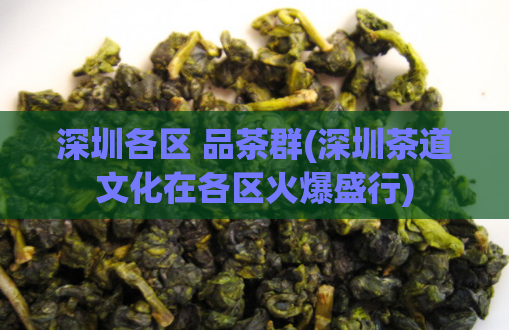 深圳各区 品茶群(深圳茶道文化在各区火爆盛行)