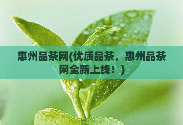 惠州品茶网(优质品茶,惠州品茶网全新上线!)