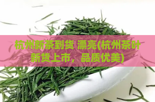 杭州新茶到货 漂亮(杭州茶叶新货上市，品质优美)