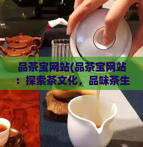 品茶宝网站(品茶宝网站：探索茶文化，品味茶生活)