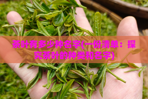 茶叶有多少种名字(一份清单：探究茶叶的种类和名字)