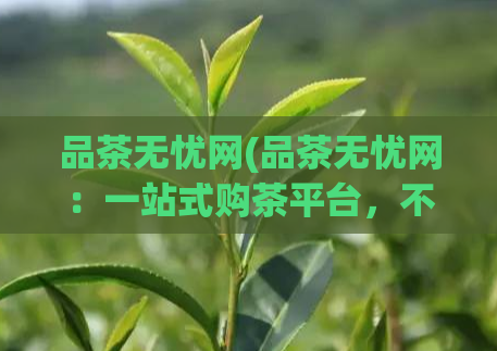 品茶无忧网(品茶无忧网：一站式购茶平台，不断提升品质)
