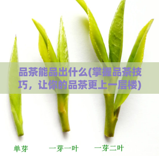 品茶能品出什么(掌握品茶技巧，让你的品茶更上一层楼)