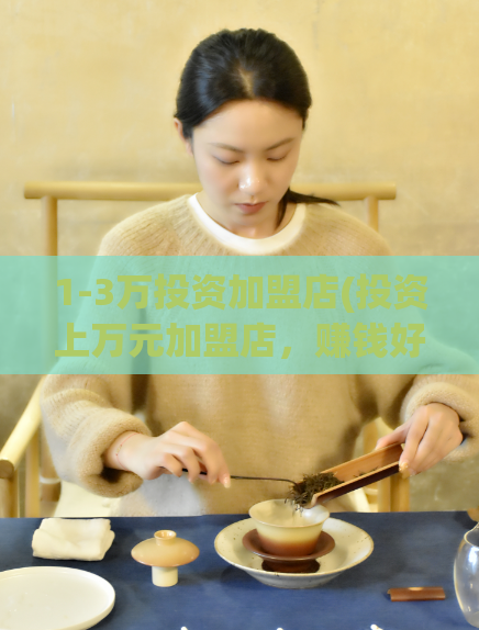 1-3万投资加盟店(投资上万元加盟店,赚钱好项目!)
