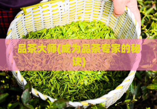 品茶大师(成为品茶专家的秘诀)
