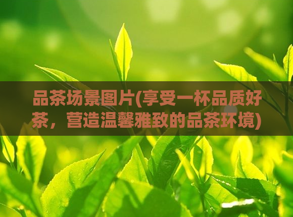 品茶场景图片(享受一杯品质好茶，营造温馨雅致的品茶环境)