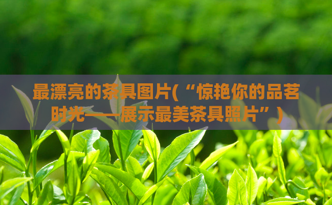 最漂亮的茶具图片(“惊艳你的品茗时光——展示最美茶具照片”)