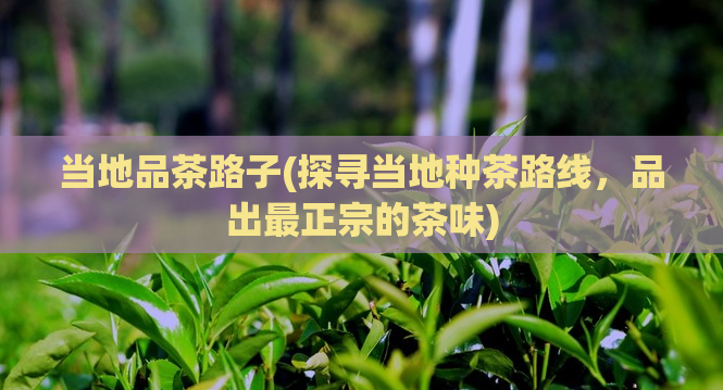 当地品茶路子(探寻当地种茶路线，品出最正宗的茶味)