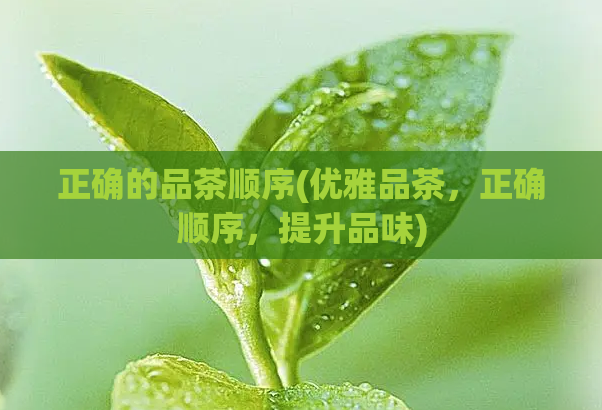 正确的品茶顺序(优雅品茶,正确顺序,提升品味)