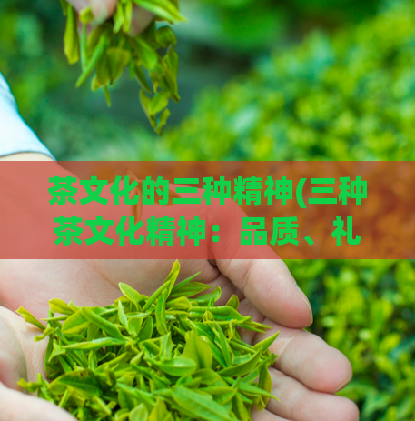 茶文化的三种精神(三种茶文化精神：品质、礼仪、自然)