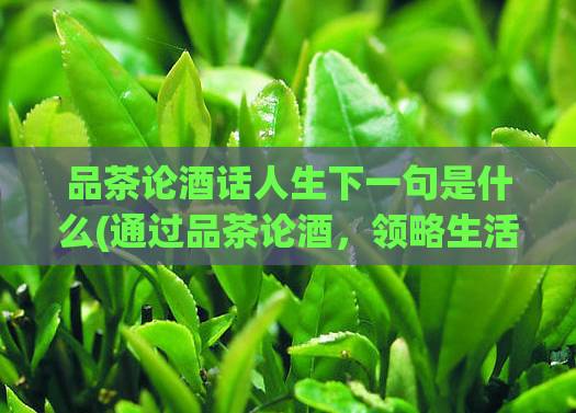 品茶论酒话人生下一句是什么(通过品茶论酒，领略生活的韵味)