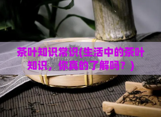 茶叶知识常识(生活中的茶叶知识,你真的了解吗?)