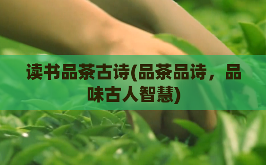 读书品茶古诗(品茶品诗,品味古人智慧)