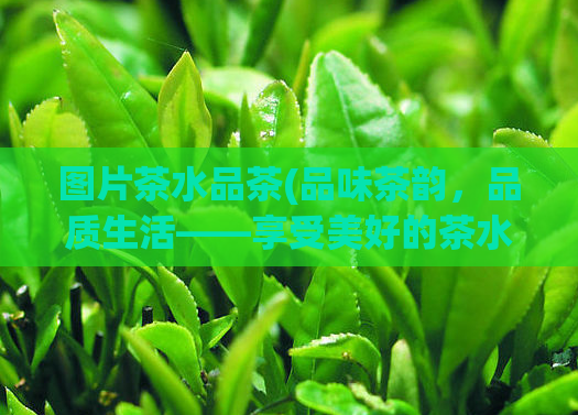 图片茶水品茶(品味茶韵，品质生活——享受美好的茶水时光)