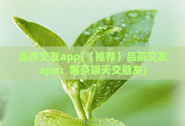 品茶交友app(【推荐】品茶交友app:喝茶聊天交朋友)