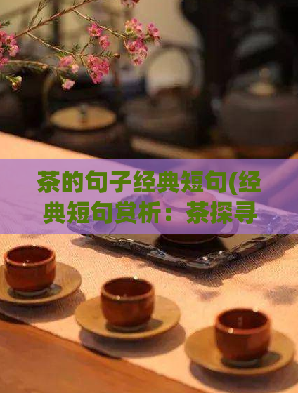 茶的句子经典短句(经典短句赏析：茶探寻茶的经典之美)