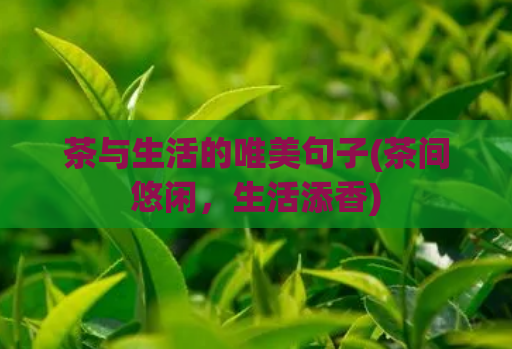茶与生活的唯美句子(茶间悠闲,生活添香)