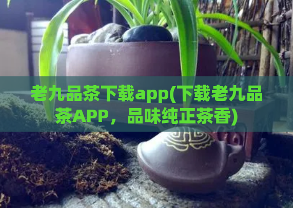 老九品茶下载app(下载老九品茶APP，品味纯正茶香)