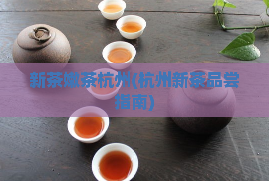 新茶嫩茶杭州(杭州新茶品尝指南)