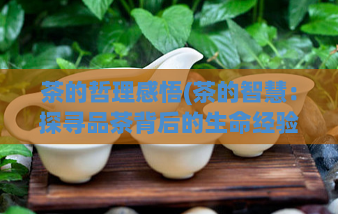 茶的哲理感悟(茶的智慧：探寻品茶背后的生命经验)