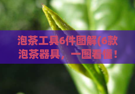 泡茶工具6件图解(6款泡茶器具，一图看懂！)